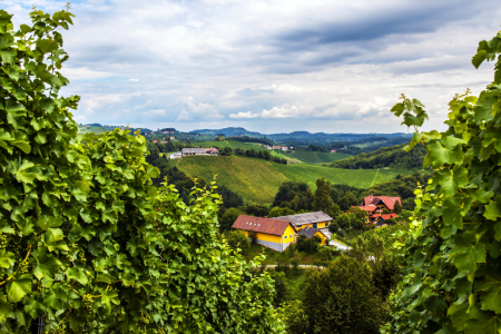 Bild-Nr: 10611332 Steiermark Erstellt von: wompus