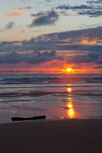 Bild-Nr: 10612400 Holz am Atlantikstrand Erstellt von: Anja Schäfer