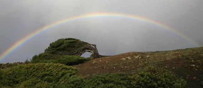 Bild-Nr: 10615894 Regenbogen 2 Erstellt von: Taurus