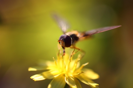 Bild-Nr: 10625922 Spotlight Erstellt von: falconer59