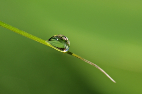 Bild-Nr: 10628926 Wassertropfen Erstellt von: gabii40