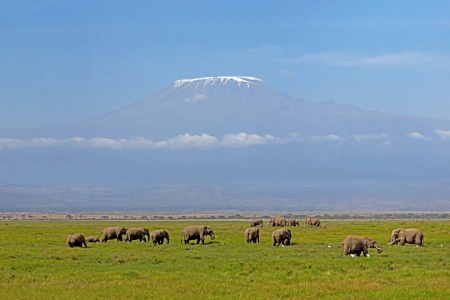 Bild-Nr: 10629862 Schnee auf dem Kilimanjaro Erstellt von: Safarifotografie
