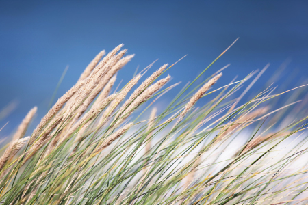 Bild-Nr: 10633914 Wind von links... Erstellt von: FotoDeHRO