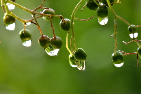 Bild-Nr: 10633998 Herbstidylle schon Erstellt von: Ostfriese