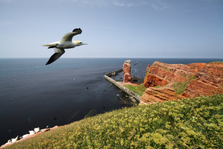 Bild-Nr: 10634508 Helgoland Erstellt von: PhotoArt-Hartmann