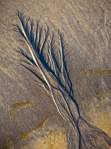 Bild-Nr: 10638548 Ocean Art no. 1 Erstellt von: arteRalfo