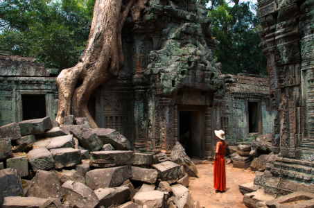 Bild-Nr: 10641526 Gigantische Wurzeln im Ta Prom Tempel, Kambodscha Erstellt von: danielgiesenphotography