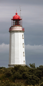 Bild-Nr: 10644416 Hiddensee Erstellt von: Delphine