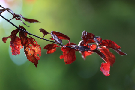 Bild-Nr: 10648626 Herbststimmung Erstellt von: Marcel Schauer