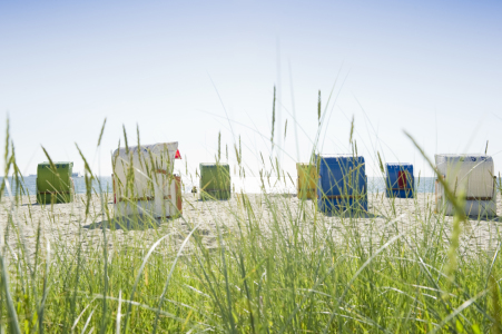 Bild-Nr: 10648888 Strandkörbe in hell Erstellt von: danielschoenen