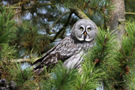 Bild-Nr: 10649332 versteckt Erstellt von: Marcel Schauer