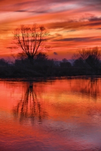 Bild-Nr: 10653372 Sonnenuntergang am Fluß Erstellt von: falconer59