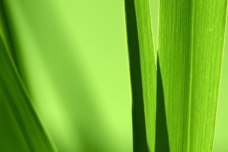 Bild-Nr: 10655784 Farbe der Natur Erstellt von: Gerhard Fechtig