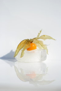 Bild-Nr: 10656594 Frostiges Früchtchen - Physalis Erstellt von: Heike  Hultsch