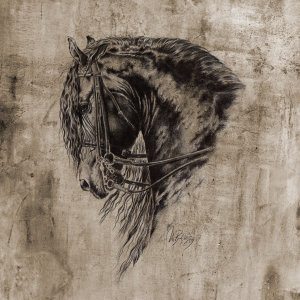 Bild-Nr: 10657668 Black Mystic Erstellt von: Art-Equus