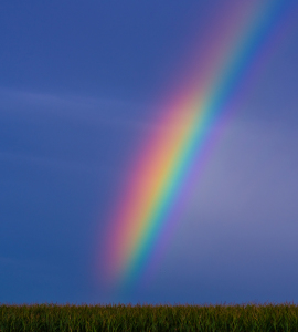 Bild-Nr: 10659692 Regenbogen Erstellt von: Tanja Riedel