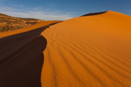 Bild-Nr: 10660302 Sand Dune Erstellt von: Photographicjourney