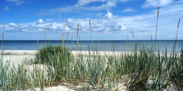 Bild-Nr: 10660454 Öland, Strand Erstellt von: Reinhold Adscheid