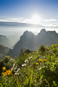 Bild-Nr: 10661716 Sonnenaufgang am Alpstein Erstellt von: danielschoenen