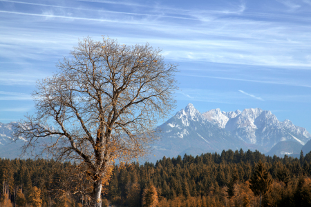 Bild-Nr: 10662146 Tiroler Herbst Erstellt von: Thomas Herzog