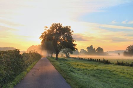 Bild-Nr: 10662176 Sonnenaufgang Erstellt von: falconer59