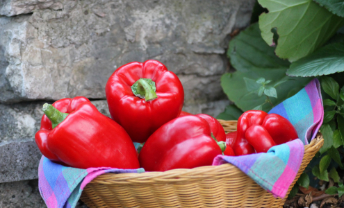 Bild-Nr: 10663888 Stillleben Paprika Erstellt von: SusaZoom