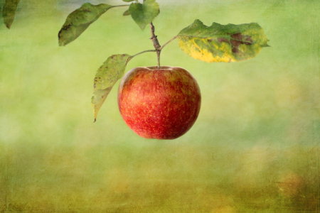 Bild-Nr: 10668604 An apple a day ... Texturversion Erstellt von: Heike Hultsch