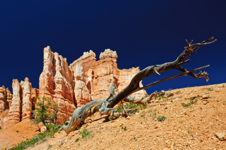 Bild-Nr: 10673426 Inside Bryce Canyon Erstellt von: DenisFeiner