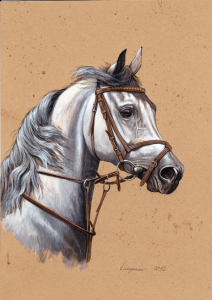 Bild-Nr: 10673498 Arabian horse. Erstellt von: lunyakov