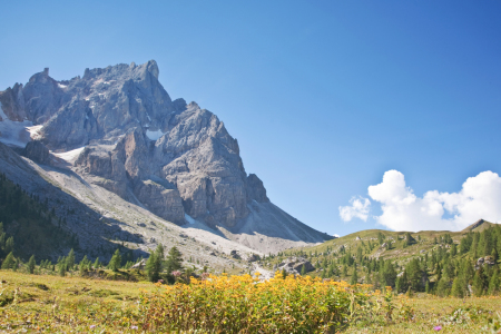 Bild-Nr: 10683142 Palagruppe in den Dolomiten Erstellt von: EderHans