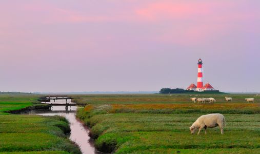 Bild-Nr: 10683844 Westerhever Erstellt von: FineArtImages