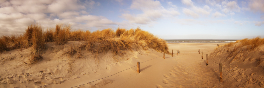 Bild-Nr: 10686112 The Beach Erstellt von: FotoDeHRO