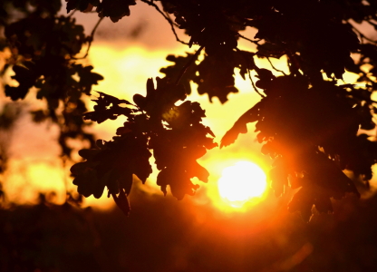 Bild-Nr: 10687178 Der goldene Oktober.. Erstellt von: Ostfriese