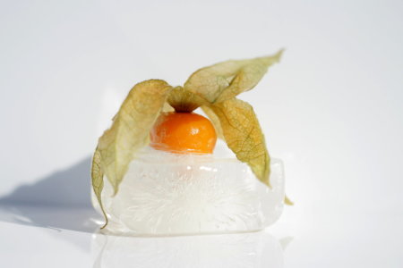 Bild-Nr: 10689905 Frostiges Früchtchen - Physalis Erstellt von: Heike  Hultsch