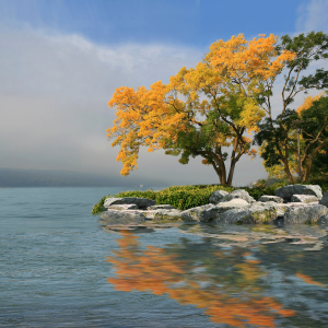 Bild-Nr: 10692151 Herbst am Bodensee Erstellt von: Mausopardia