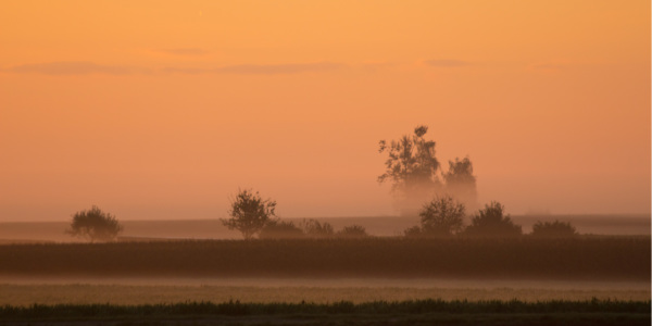 Bild-Nr: 10692289 Im Nebel Erstellt von: Stephanie Stephanie Dannecker
