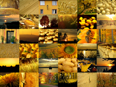 Bild-Nr: 10699803 Goldene Momente - Collage Erstellt von: ursand