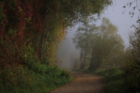 Bild-Nr: 10701563 Morgennebel  Erstellt von: kadorka