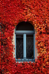 Bild-Nr: 10701831 Das Fenster zum Haus - Herbst Erstellt von: Heike Hultsch