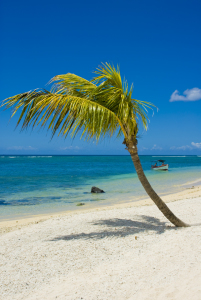 Bild-Nr: 10703639 Mauritius Strand Hochformat Erstellt von: cibo