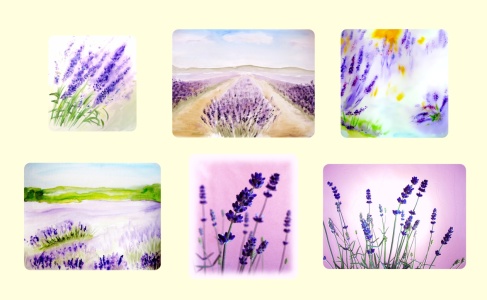 Bild-Nr: 10703787 Lavendel-Collage Erstellt von: M.A. Ziehr