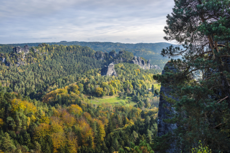 Bild-Nr: 10704221 Wald in der Sächsischen Schweiz Erstellt von: Wolfgang Zwanzger