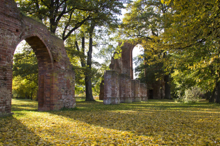 Bild-Nr: 10707441 Herbst in der Klosterruine Erstellt von: uwekantz