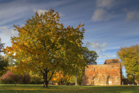 Bild-Nr: 10707555 Herbst in der Klosterruine 2 Erstellt von: uwekantz