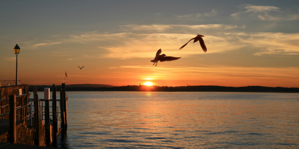 Bild-Nr: 10708693 Sonnenuntergang in Meersburg am Bodensee Erstellt von: Mausopardia