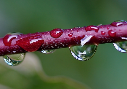 Bild-Nr: 10712133 Zweigstelle Erstellt von: youhaveadream