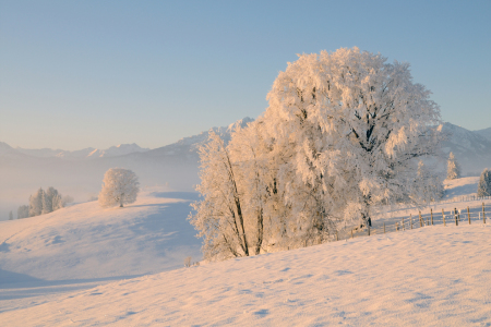 Bild-Nr: 10716485 Wintermorgen Erstellt von: Gerhard726