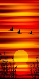 Bild-Nr: 10718715 Sonnenuntergang Erstellt von: Atteloi