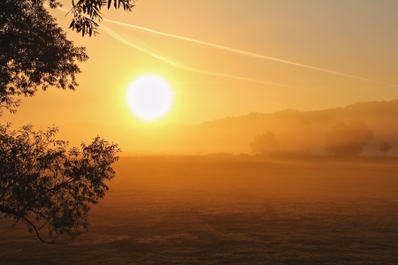 Bild-Nr: 10724165 Sonne und Nebel Erstellt von: falconer59