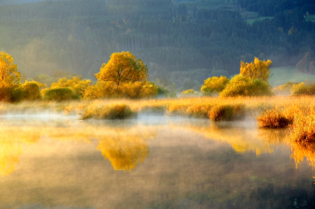 Bild-Nr: 10724657 Grüntensee Erstellt von: Gerhard726